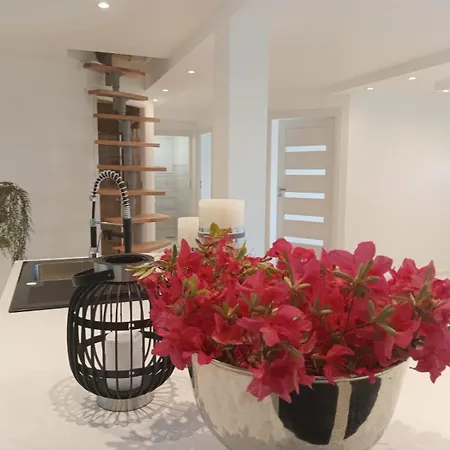 Not Taking Guests Apartment