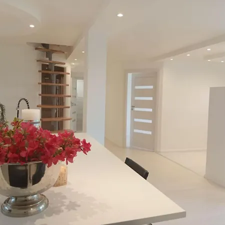 Apartment Not Taking Guests *