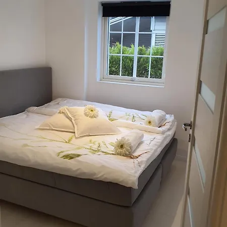 Apartment Not Taking Guests *